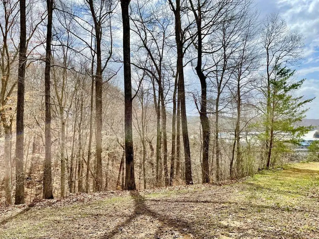 3 Marina Pointe Court Jamestown KY 42629
