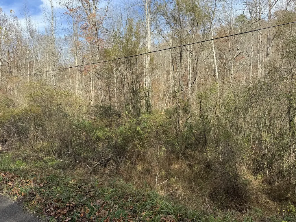 0 Maple Creek Road Williamsburg KY 40769