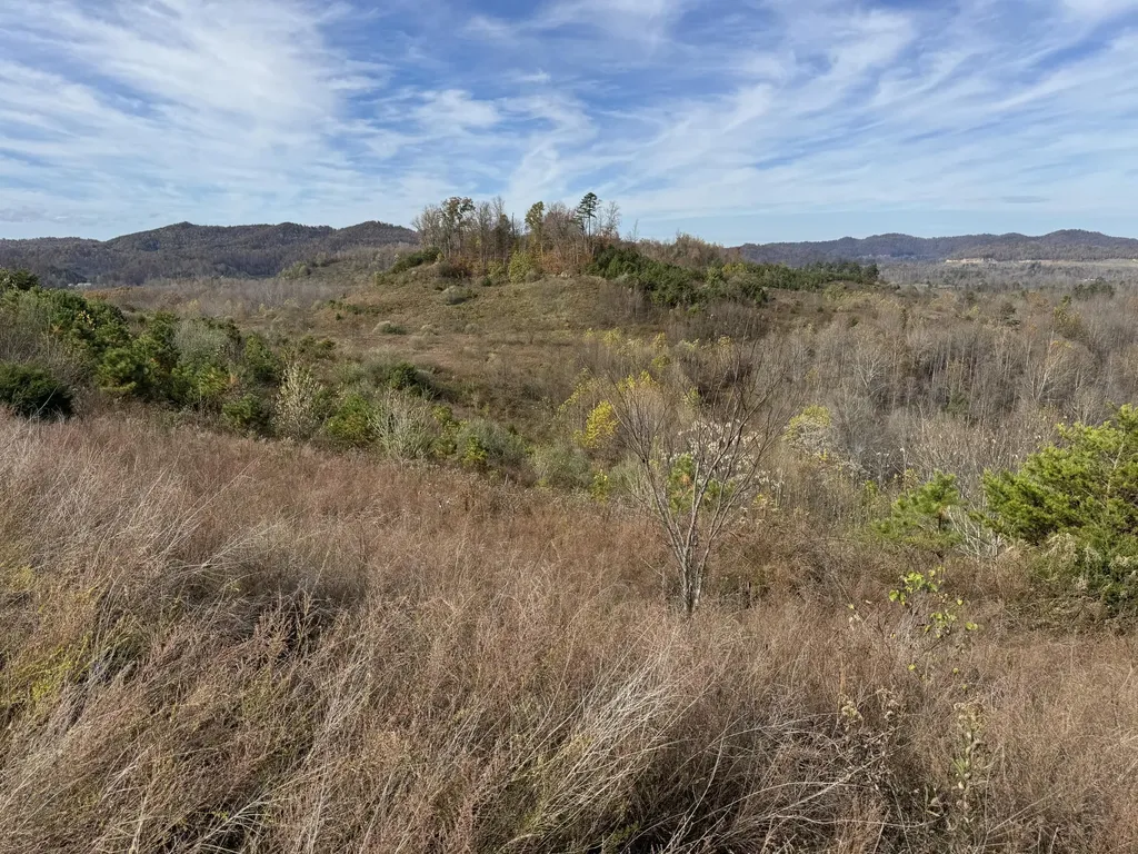 0 Maple Creek Road Williamsburg KY 40769
