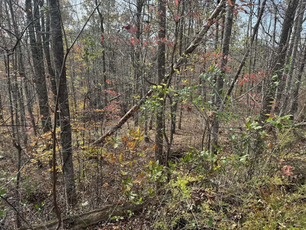 0 Maple Creek Road Williamsburg KY 40769
