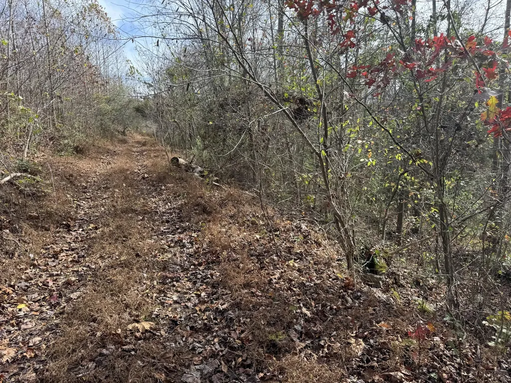 0 Maple Creek Road Williamsburg KY 40769