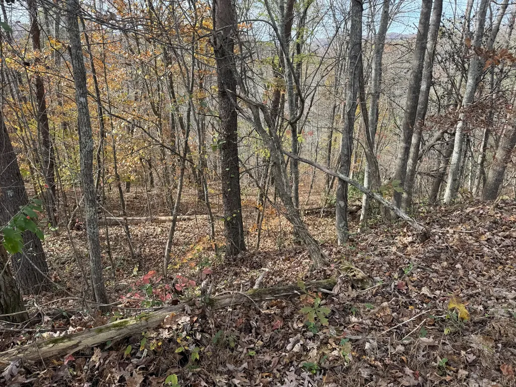 0 Maple Creek Road Williamsburg KY 40769
