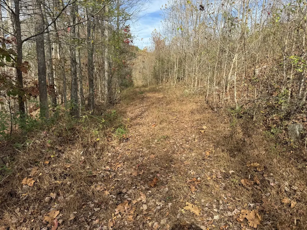 0 Maple Creek Road Williamsburg KY 40769