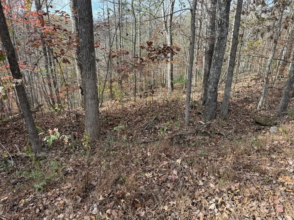 0 Maple Creek Road Williamsburg KY 40769