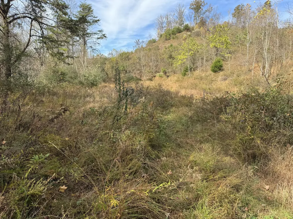 0 Maple Creek Road Williamsburg KY 40769