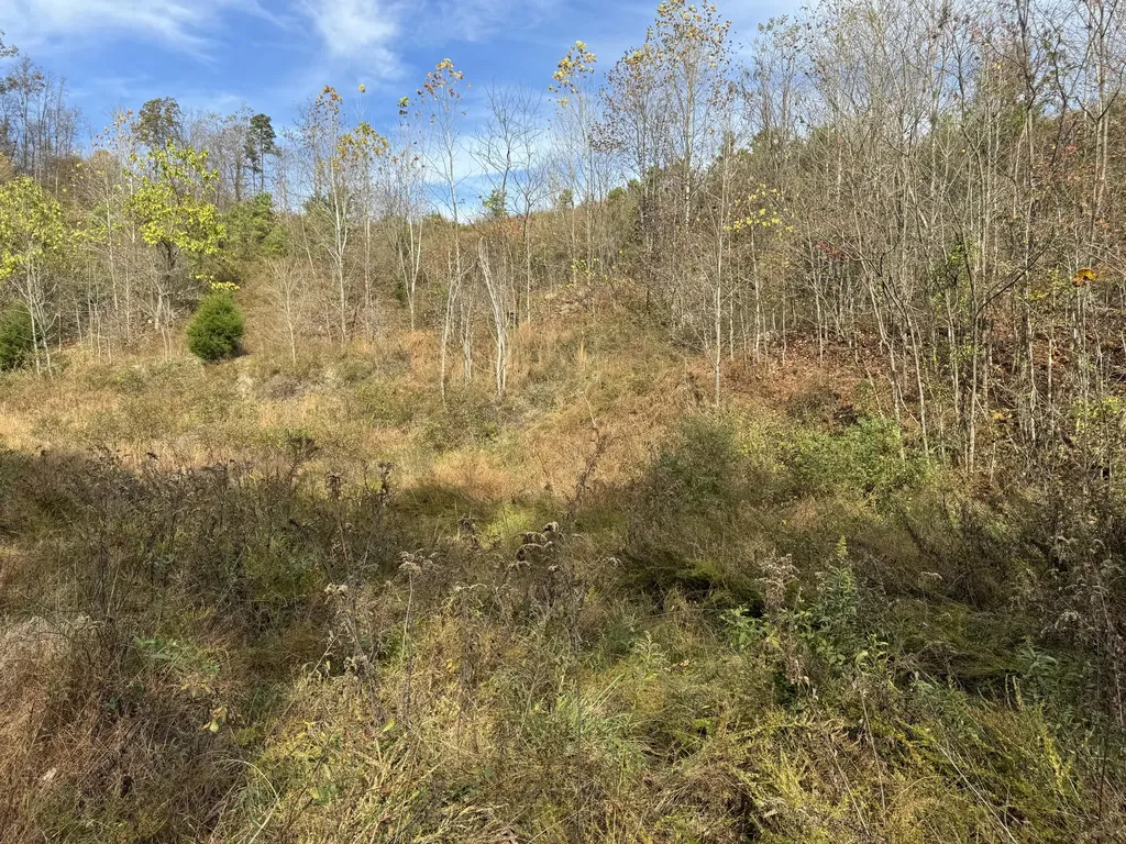 0 Maple Creek Road Williamsburg KY 40769