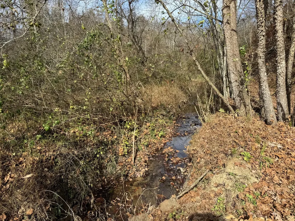 0 Maple Creek Road Williamsburg KY 40769
