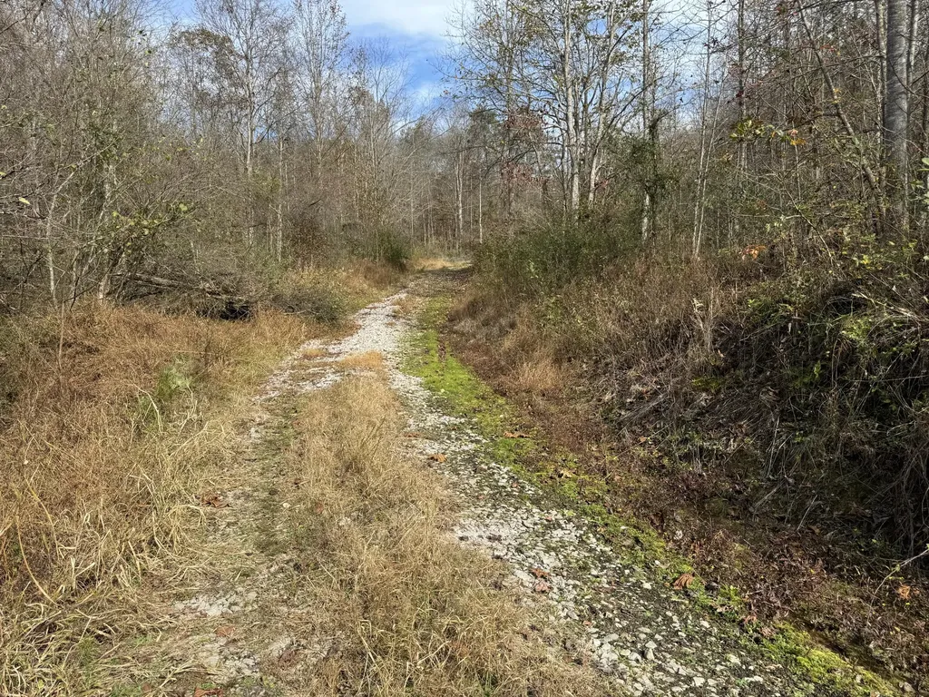 0 Maple Creek Road Williamsburg KY 40769