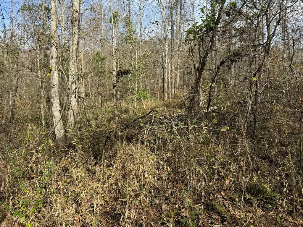 0 Maple Creek Road Williamsburg KY 40769