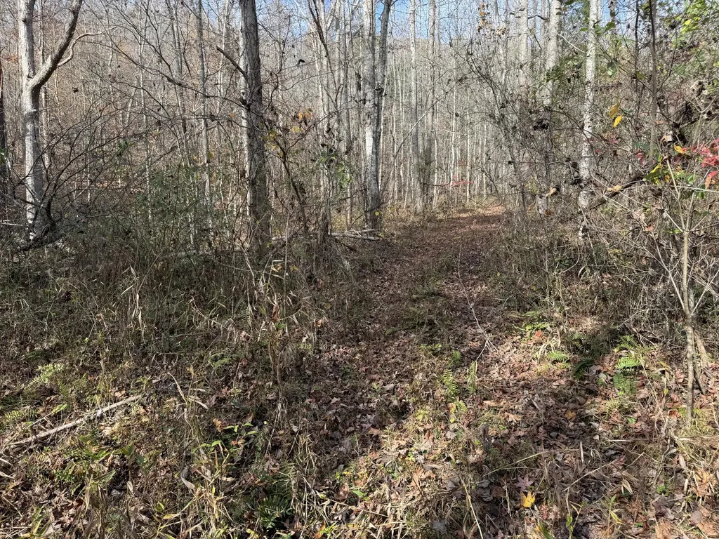 0 Maple Creek Road Williamsburg KY 40769