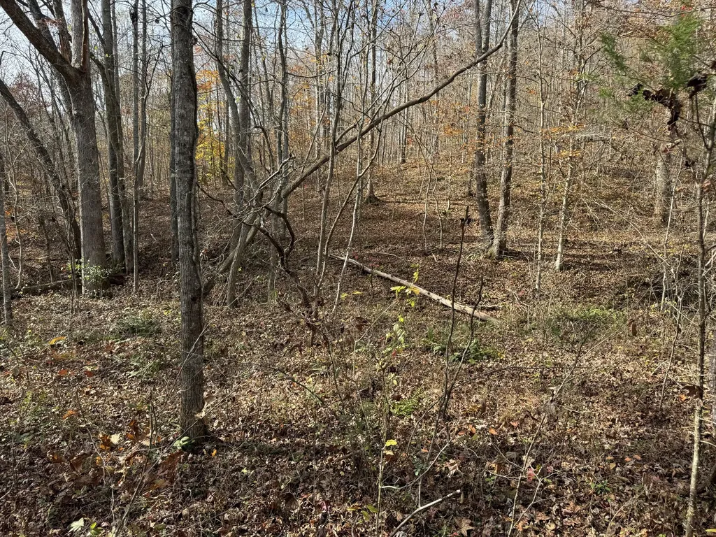 0 Maple Creek Road Williamsburg KY 40769