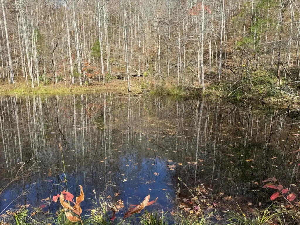 0 Maple Creek Road Williamsburg KY 40769