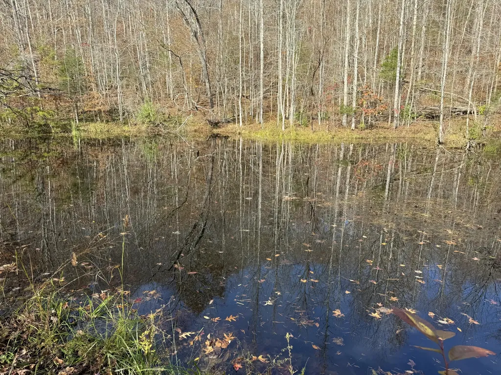 0 Maple Creek Road Williamsburg KY 40769