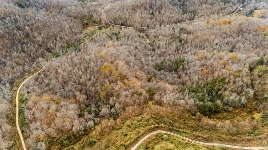 0 Maple Creek Road Williamsburg KY 40769