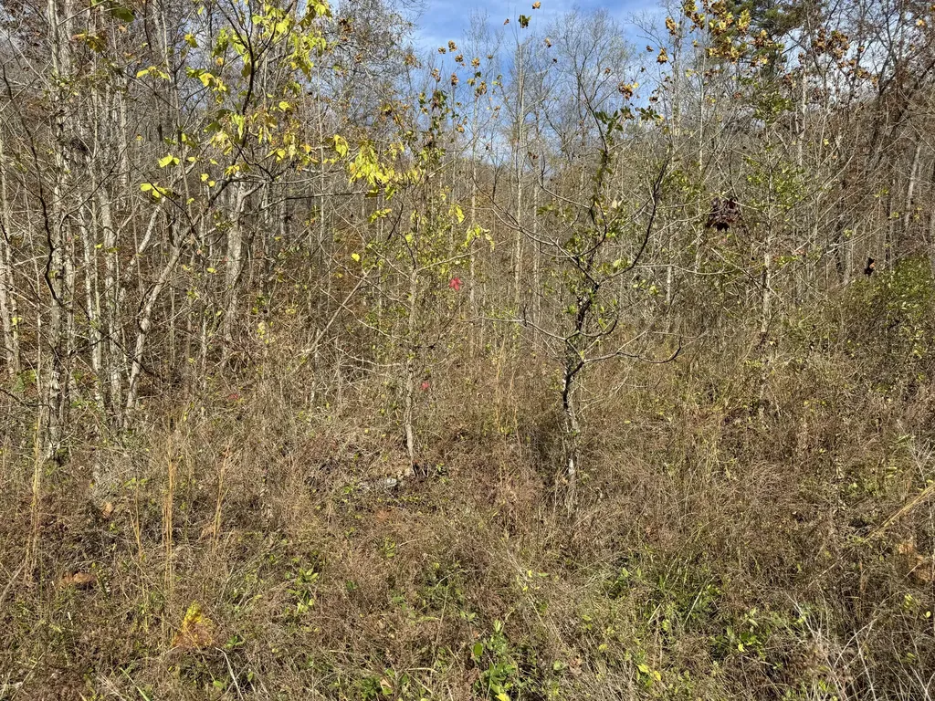 0 Maple Creek Road Williamsburg KY 40769