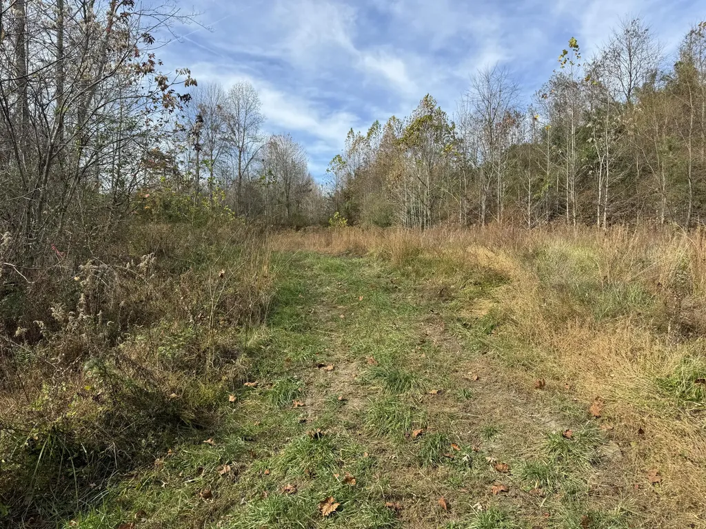 0 Maple Creek Road Williamsburg KY 40769