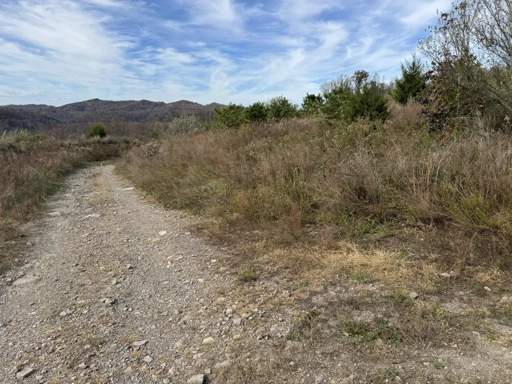 0 Maple Creek Road Williamsburg KY 40769