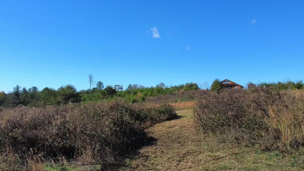 Lot #73 Shawnee Run Rogers KY 41365