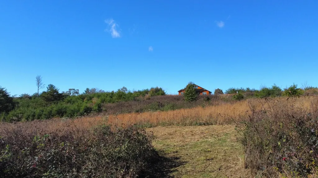 Lot #73 Shawnee Run Rogers KY 41365