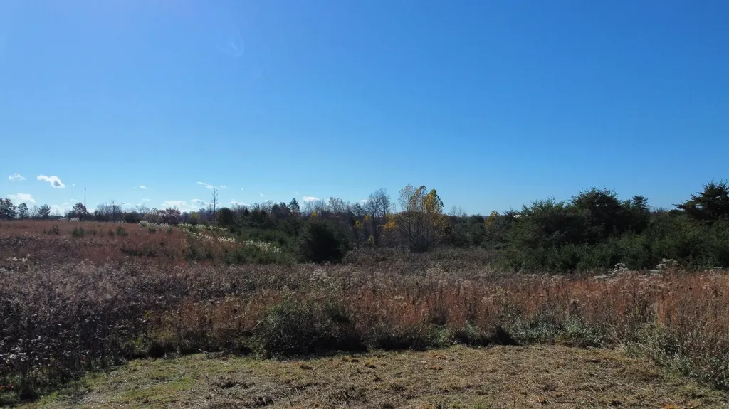 Lot #73 Shawnee Run Rogers KY 41365