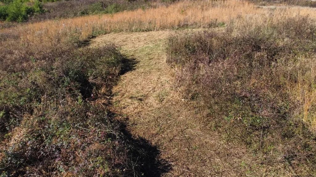 Lot #73 Shawnee Run Rogers KY 41365