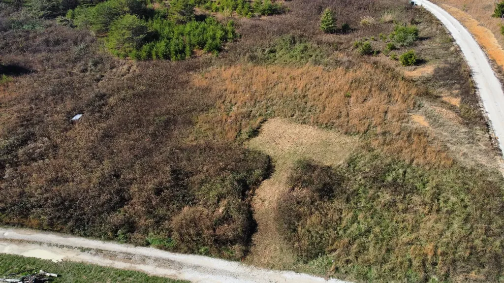 Lot #73 Shawnee Run Rogers KY 41365