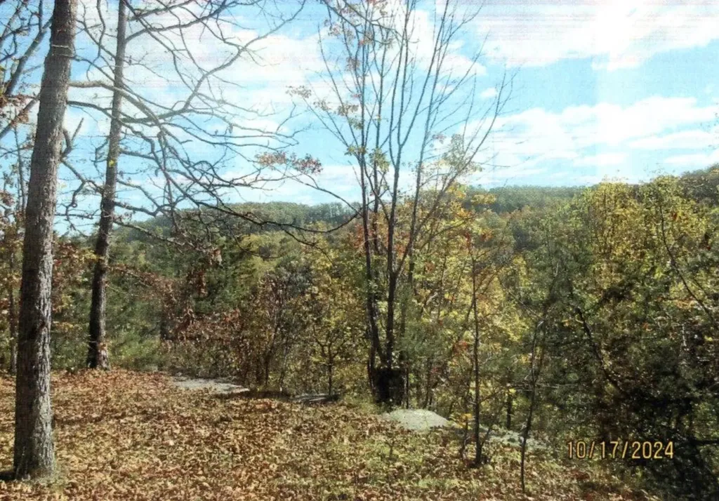 0 Halls Branch Road Stanton KY 40380