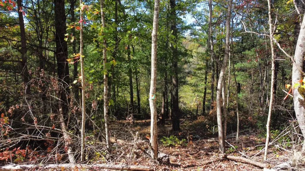Lot #47 The Reserve At Cliffview Zoe KY 41397