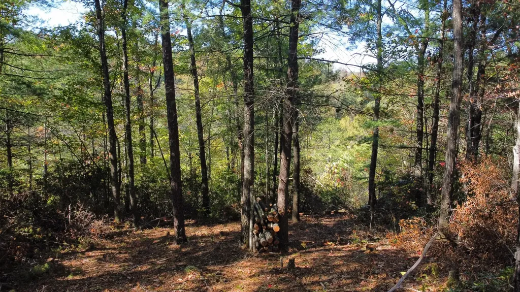 Lot #47 The Reserve At Cliffview Zoe KY 41397