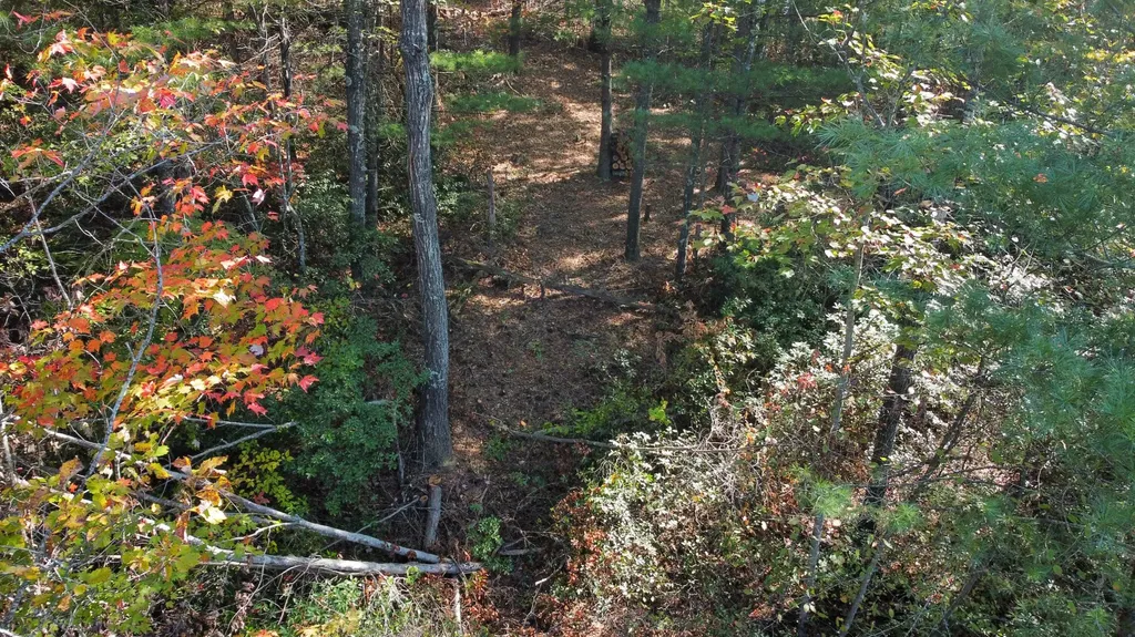 Lot #47 The Reserve At Cliffview Zoe KY 41397