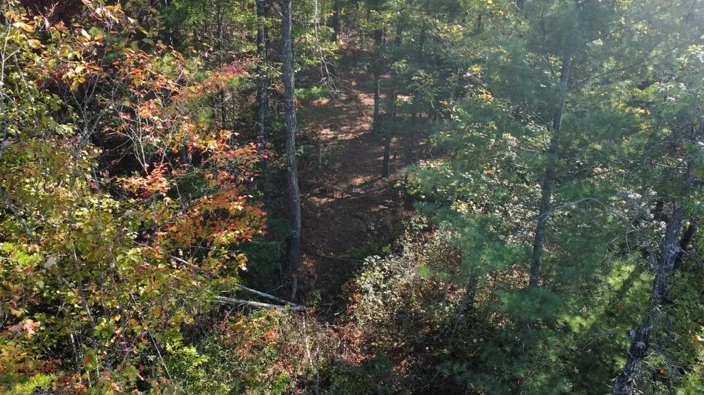 Lot #47 The Reserve At Cliffview Zoe KY 41397