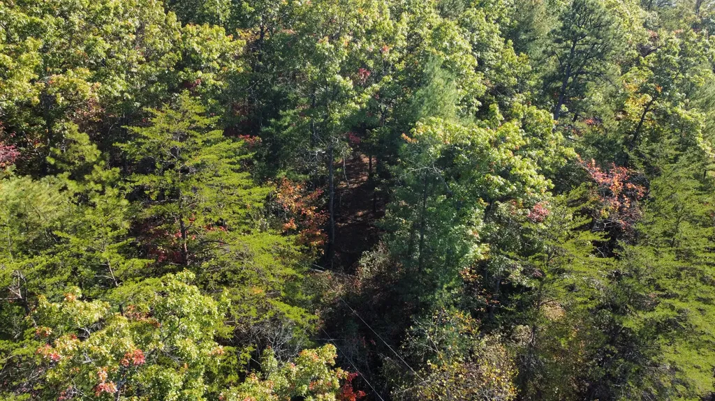Lot #47 The Reserve At Cliffview Zoe KY 41397