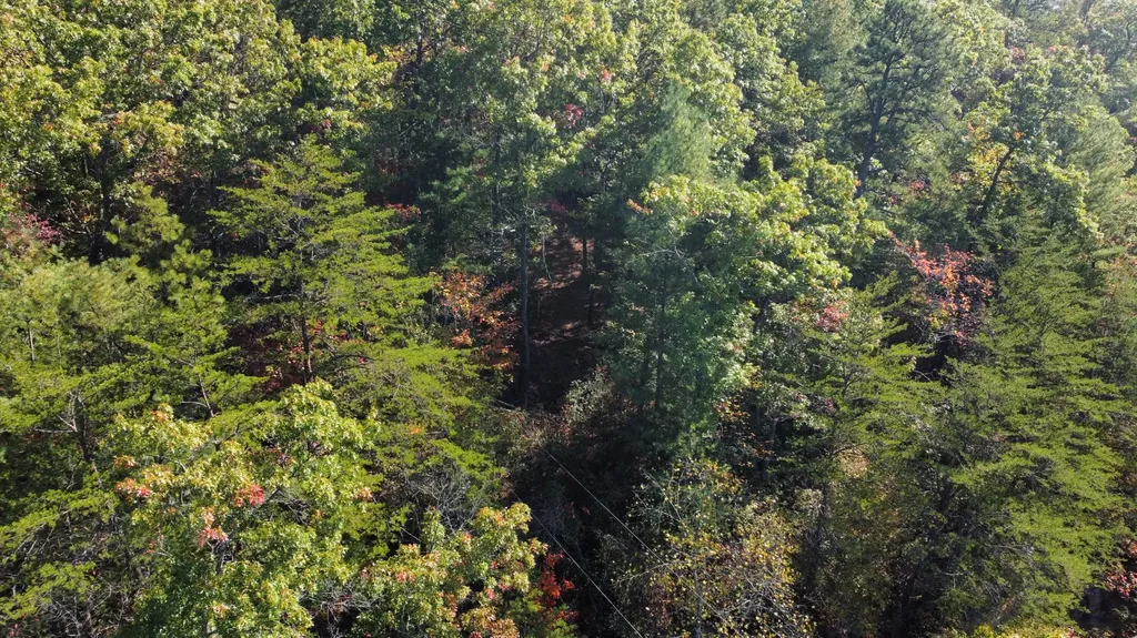 Lot #47 The Reserve At Cliffview Zoe KY 41397