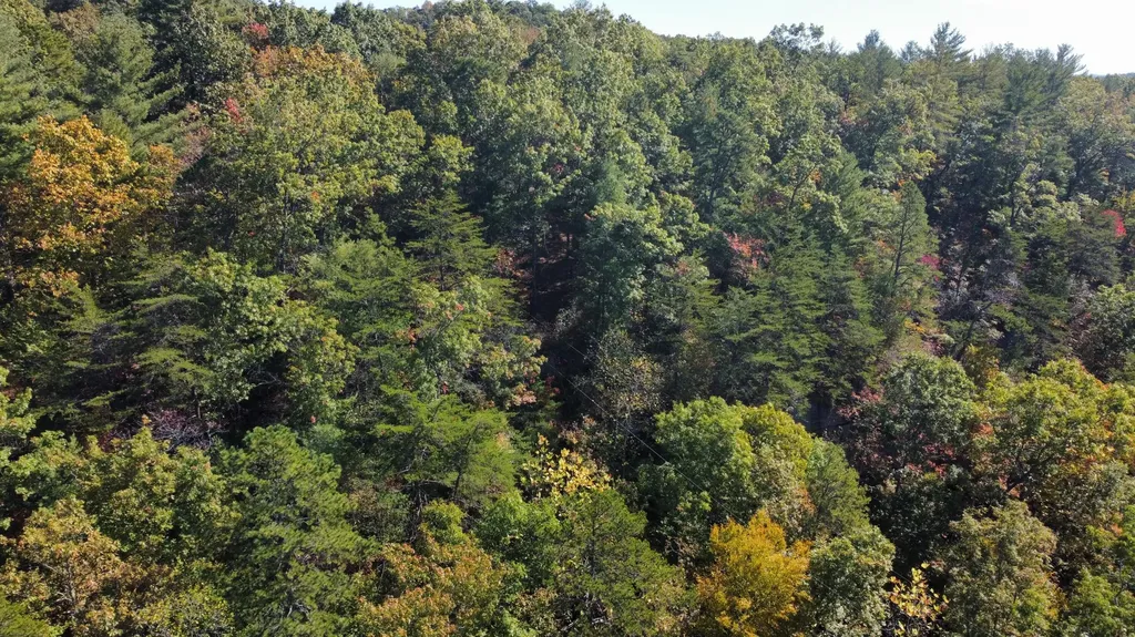Lot #47 The Reserve At Cliffview Zoe KY 41397