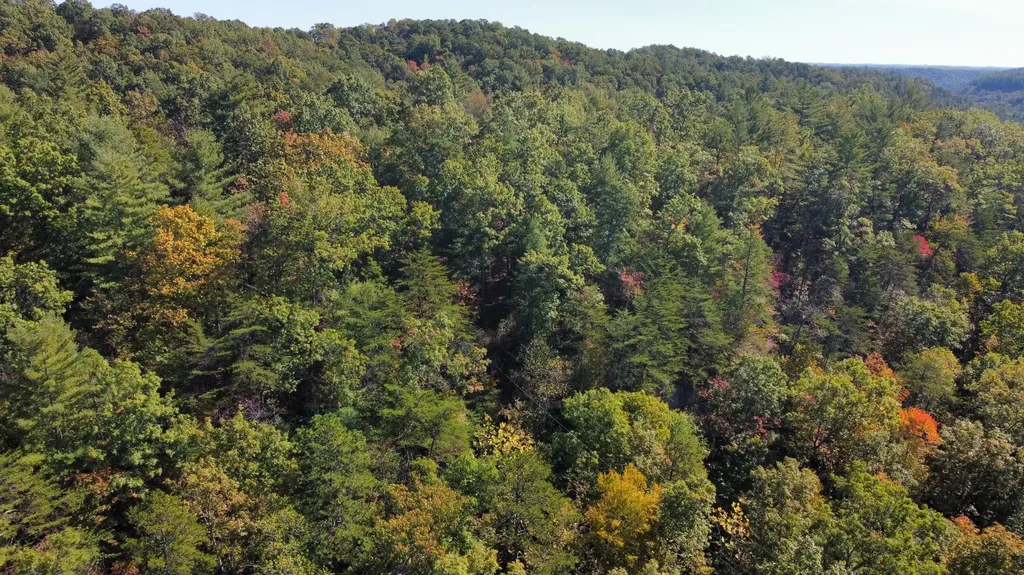Lot #47 The Reserve At Cliffview Zoe KY 41397