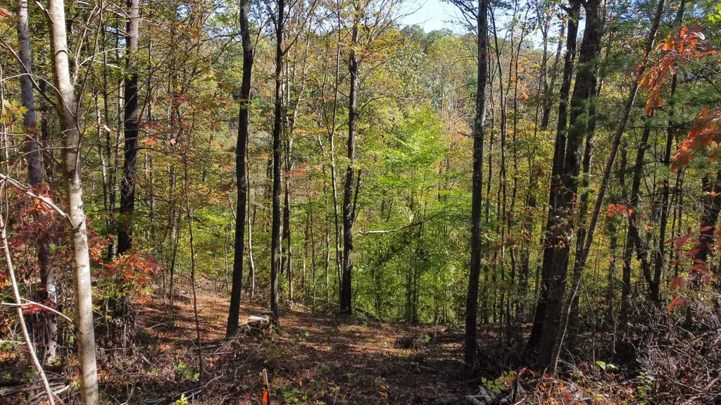 Lot #51 The Reserve At Cliffview Zoe KY 41397