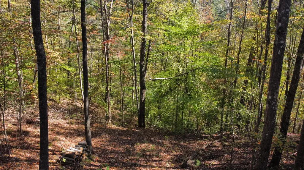 Lot #51 The Reserve At Cliffview Zoe KY 41397