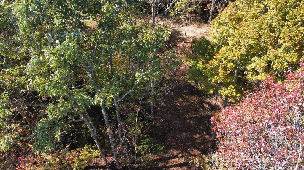 Lot #51 The Reserve At Cliffview Zoe KY 41397