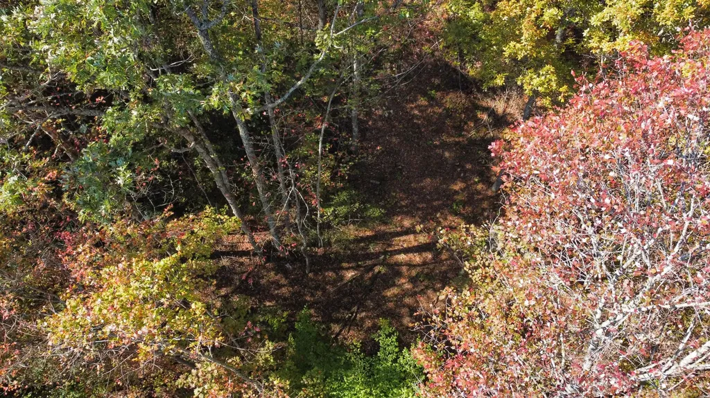 Lot #51 The Reserve At Cliffview Zoe KY 41397