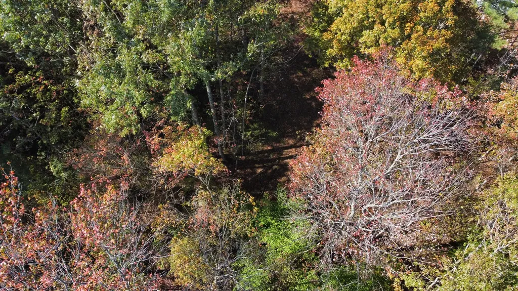 Lot #51 The Reserve At Cliffview Zoe KY 41397