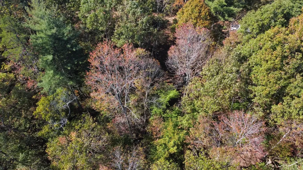 Lot #51 The Reserve At Cliffview Zoe KY 41397