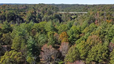 Lot #51 The Reserve At Cliffview Zoe KY 41397