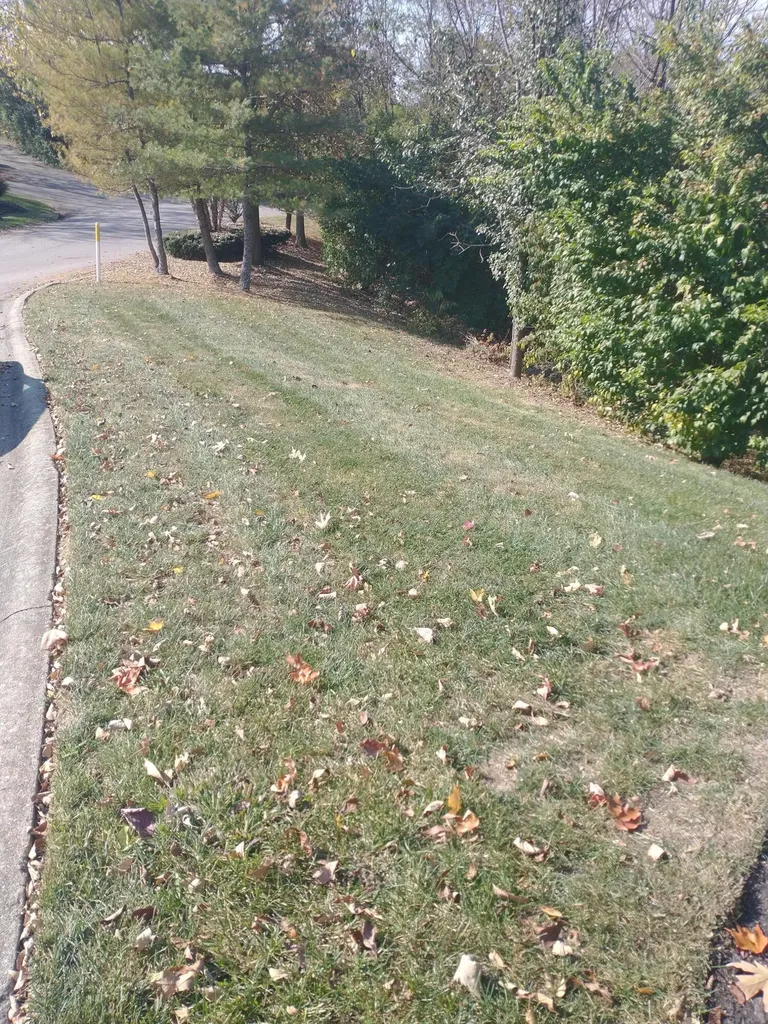 102 Augusta Drive Winchester KY 40391