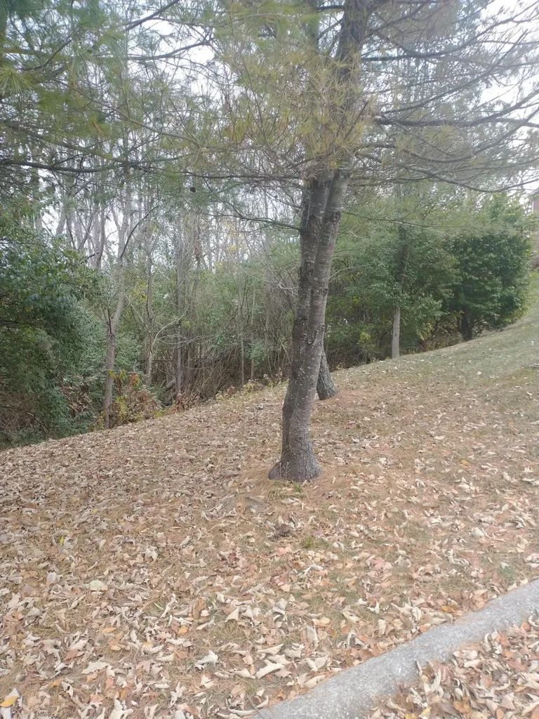 102 Augusta Drive Winchester KY 40391