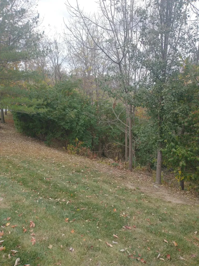 102 Augusta Drive Winchester KY 40391