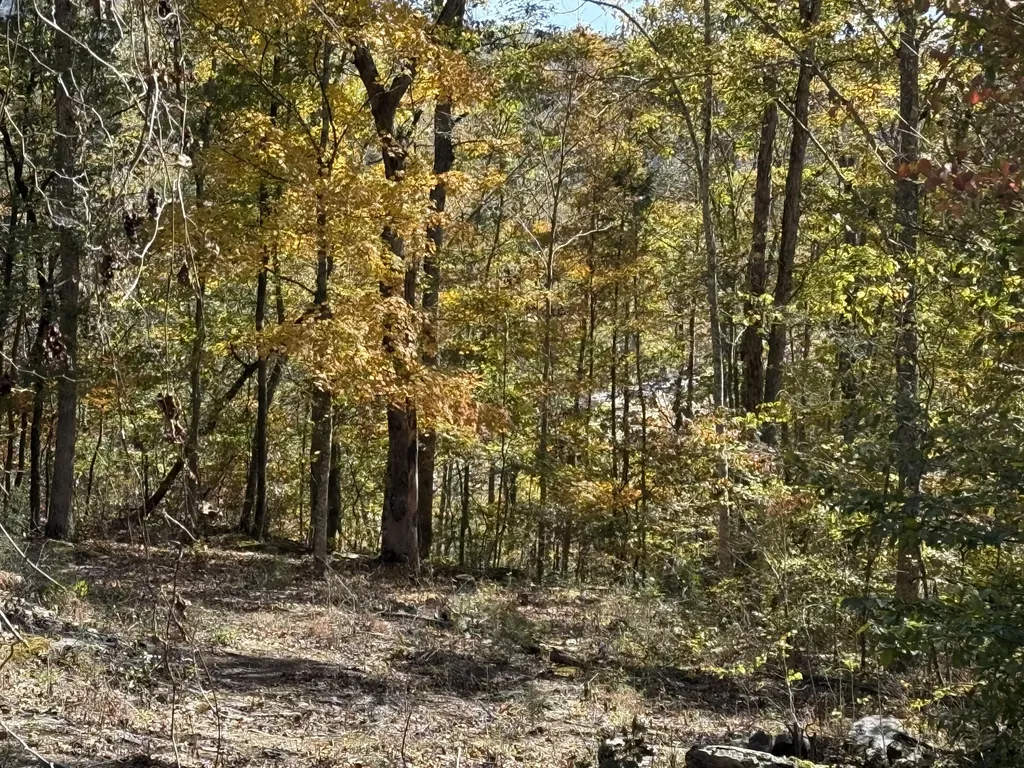 Lot# 36 Buck Creek Circle Somerset KY 42501