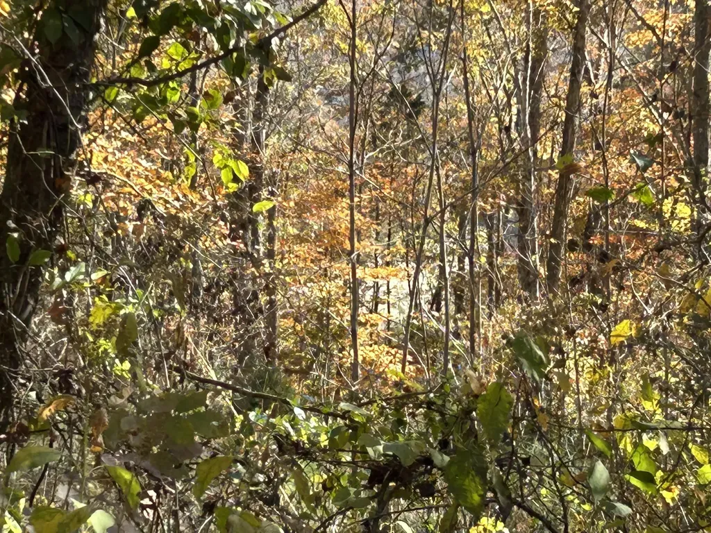 Lot# 36 Buck Creek Circle Somerset KY 42501