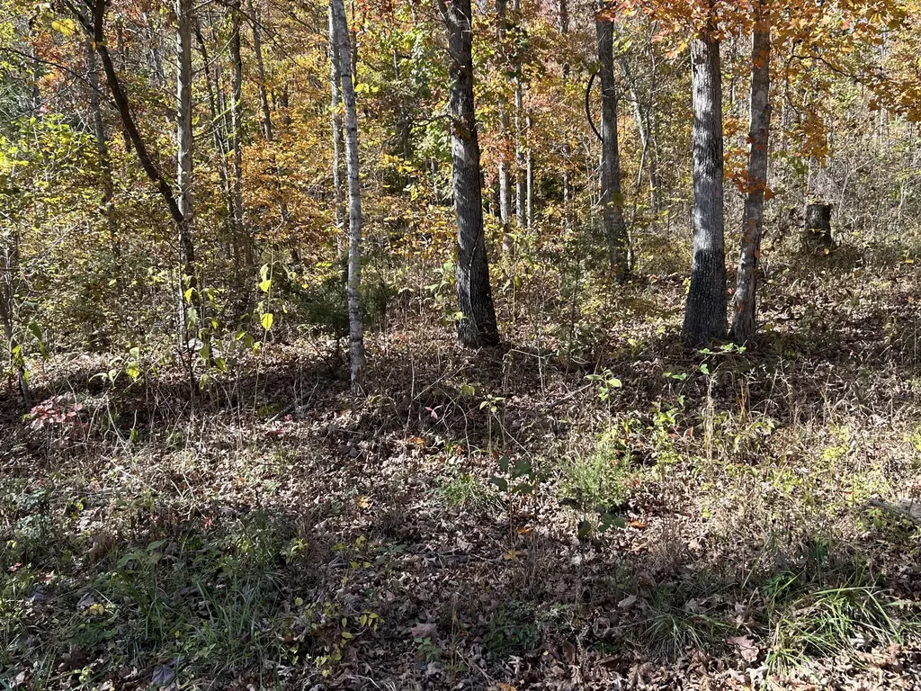 Lot# 36 Buck Creek Circle Somerset KY 42501