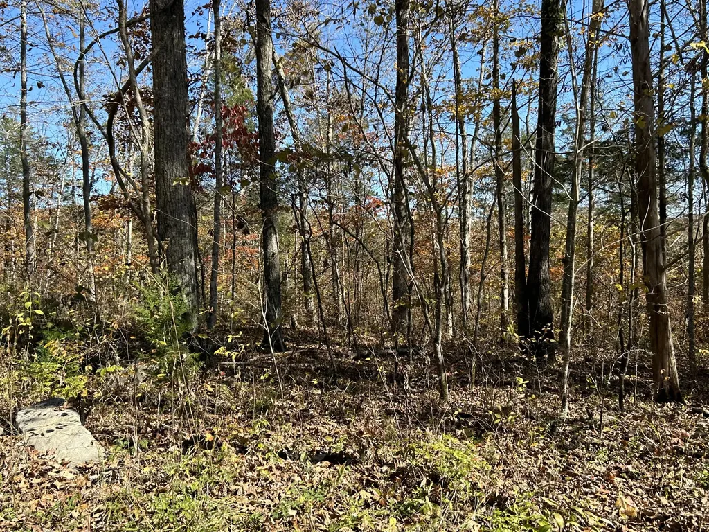 Lot# 36 Buck Creek Circle Somerset KY 42501