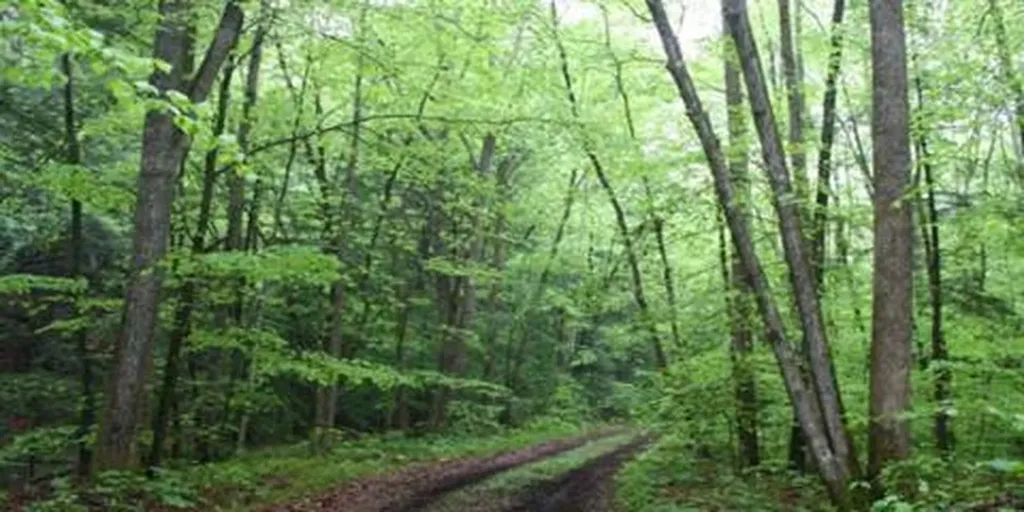 9999 Spruce Creek Road Corbin KY 40701